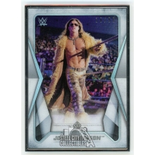 John Morrison 2020 Topps Transcendent WWE Collection Card /50