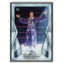 Robert Roode 2020 Topps Transcendent WWE Collection Card /50