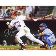Tim Salmon Autographed Angels 8x10 Photo - BAS COA
