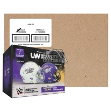 2026 Fanatics Under Wraps WWE Wrestling SummerSlam Autographed Mini Helmet 10-Box Case