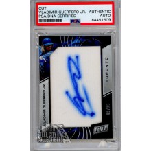 Vladimir Guerrero Jr 2019 Panini National Auto Jersey Rookie RC #VG /25 PSA/DNA